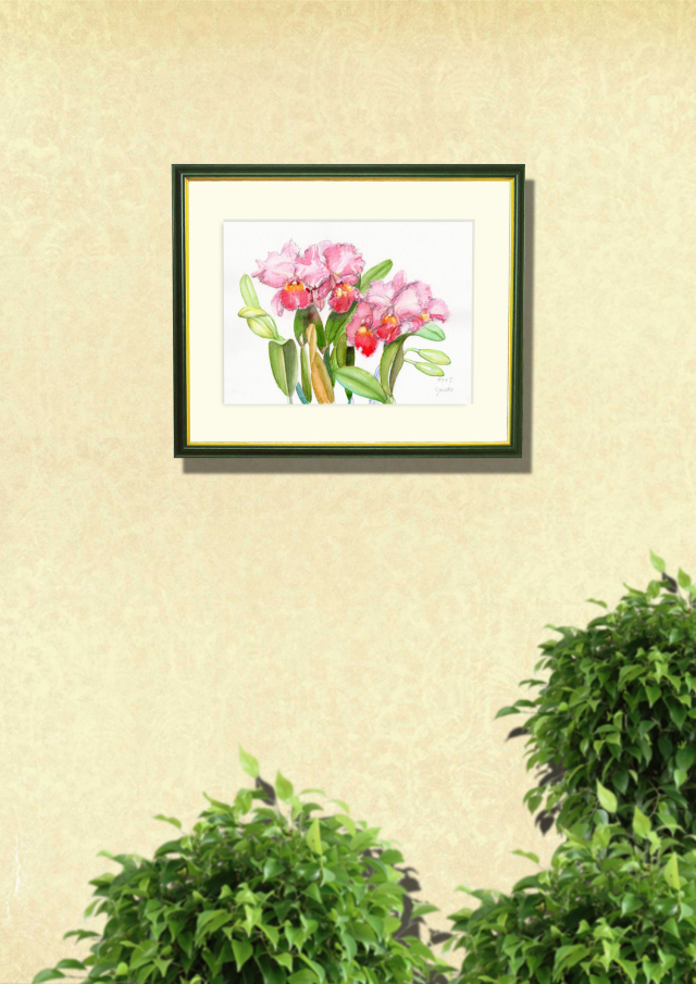 志村好子「カトレア(ピンク）」水彩画（絵寸252×330・額寸347×423mm）