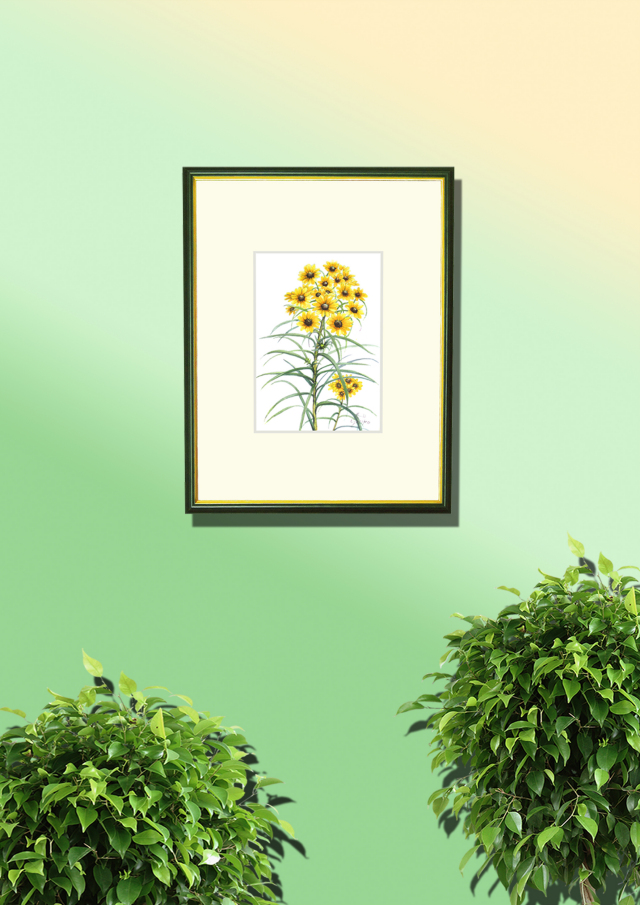 志村好子「春日（黄色い花）」水彩画（絵寸147×210・額寸318×410mm）