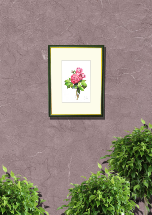 志村好子「薔薇」水彩画（絵寸160×242・額寸額寸318×410mm）