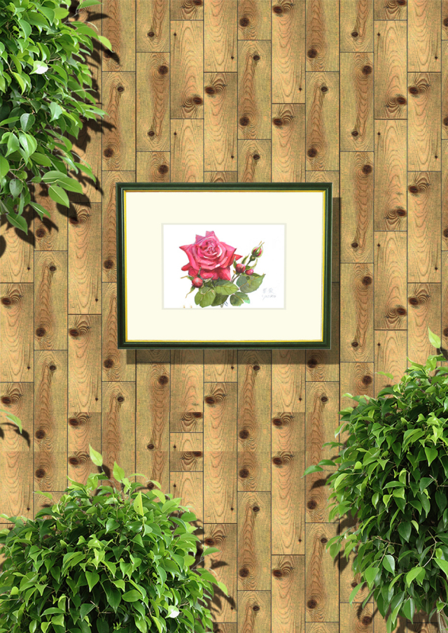 志村好子「薔薇」水彩画（絵寸160×242・額寸318×410mm）