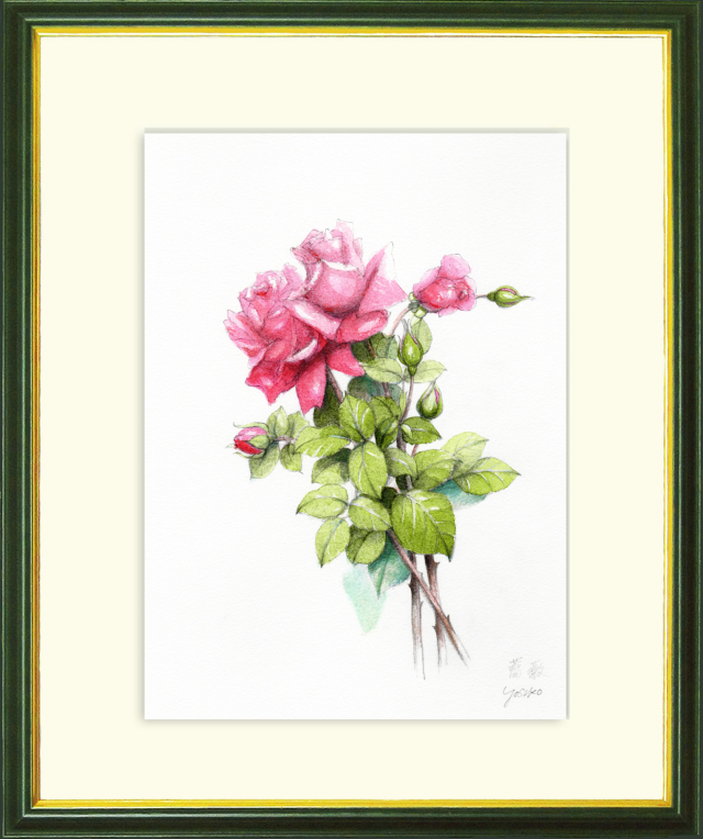 志村好子「薔薇」水彩画（絵寸250×330・額寸377×454mm）
