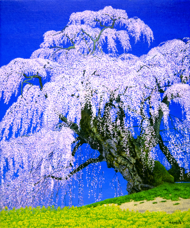 F8「滝桜」キャンバス