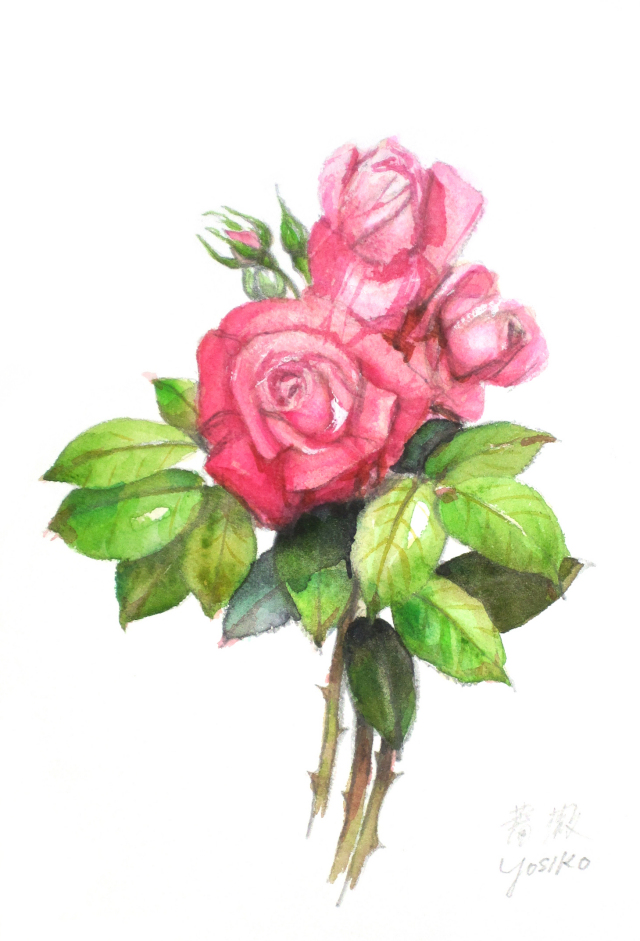 志村好子「薔薇」水彩（画寸160×242mm）