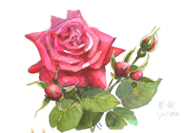 薔薇」水彩画（絵寸160×242・額寸318×410mm）志村好子