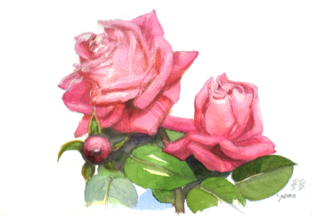志村好子「薔薇」水彩（画寸160×242mm）