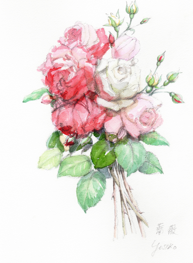 志村好子「薔薇」水彩画（絵寸250×330・額寸377×454mm）