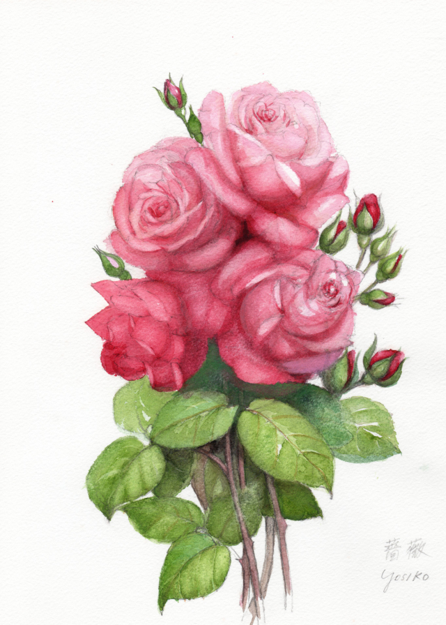 志村好子「薔薇」水彩（画寸250×330mm）