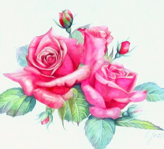 花の絵・志村好子　「薔薇」　水彩　Ｆ４　外寸　425×455mm